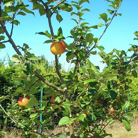 Villa Panoramic Poolside *