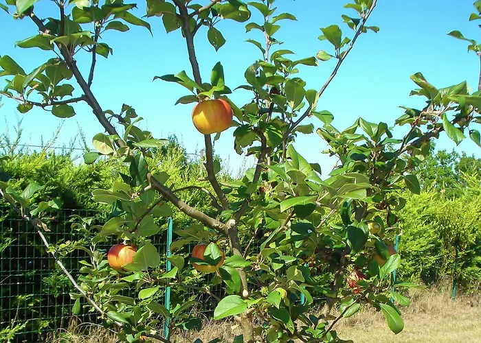 ヴィラ Panoramic Poolside *